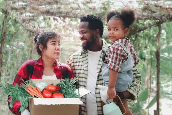 Kırsaldaki Sebze Bahçesinde Mutlu Bir Aile Asyalı Anne Afrikalı Amerikalı — Stok fotoğraf