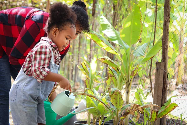 Happy farmer family work together in agriculture or farming, mother gardener and African daughter girl with black curly hair watering plant, child education of nature and plant growing learn activity