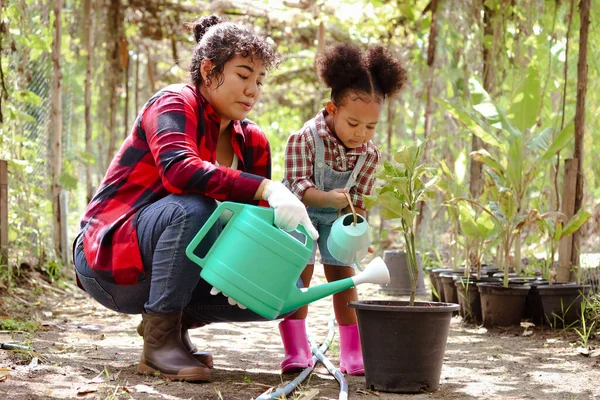 Happy farmer family work together in agriculture or farming, mother gardener and African daughter girl with black curly hair watering plant, child education of nature and plant growing learn activity