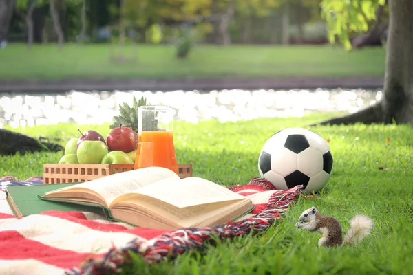 Beautiful picnic set in the park on green grass at noon on sunny day, good book, fruit basket, fresh orange juice in pitcher, football toy and little squirrel on summer picnic scene lovely vacation.