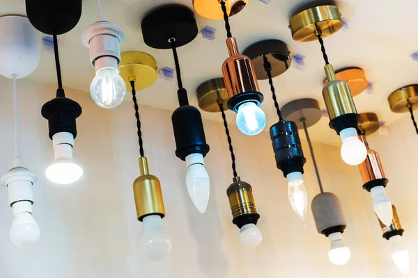 Bir elektrik mağazasında çeşitli şekillerde ve tiplerde LED ampuller. Seçici odak