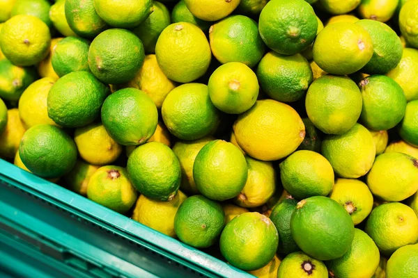 Lots Limes Plastic Box Trade Export Exotic Plants Food Industry — Fotografia de Stock