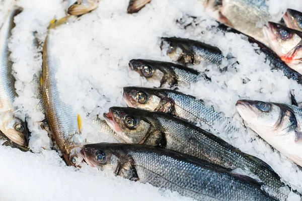 氷のパン粉で魚を冷やした 店内の魚介類の取引 — ストック写真