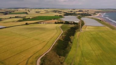 İskoç Denizi yakınlarındaki tarlalarda ve seralarda insansız hava aracı görüntüsü.