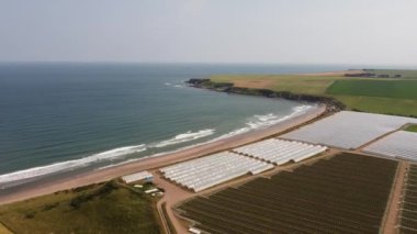 Kuzey Denizi kıyısındaki böğürtlen çiftliği. Drone görünümü.
