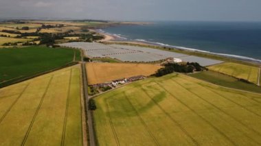 İHA görüntüsü. Deniz kıyısındaki yeşil tarlalar ve seralar arasındaki yol.