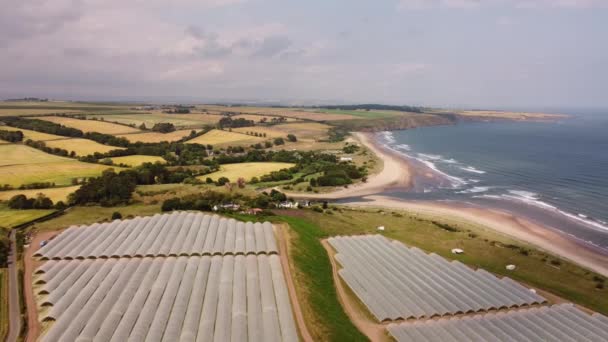 Drone view. Berry greenhouses against the background of fields on the seashore. — Stock Video