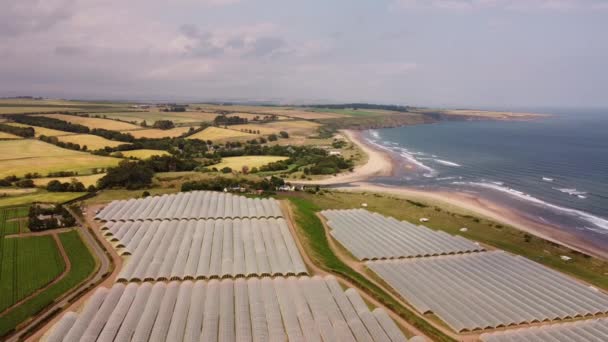 德隆用温室和田野观察苏格兰北海沿岸的风景 — 图库视频影像