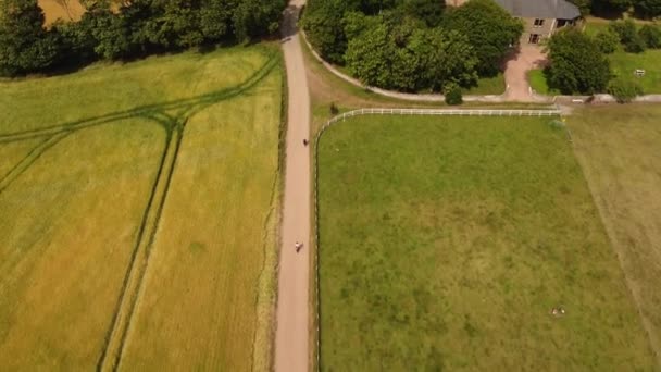 Drone uitzicht op groene velden gescheiden door een weg met bomen en een huis. — Stockvideo