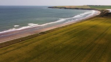 Kıyı boyunca yeşil alanlarda insansız hava aracı görüntüsü.
