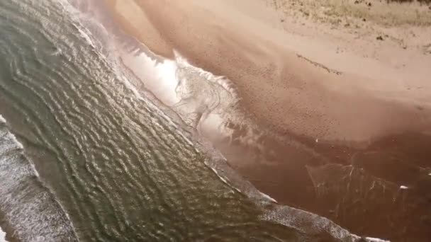 Widok drona.Piaszczysta plaża nad morzem i szklarnie jagód w tle. — Wideo stockowe