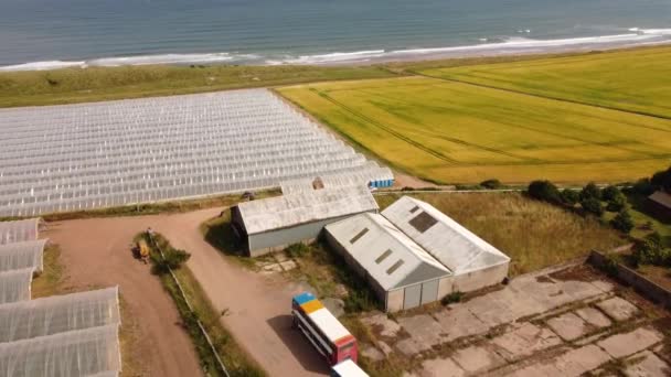 Een drone uitzicht op een aardbei boerderij en groene weiden aan de kust van de zee. — Stockvideo