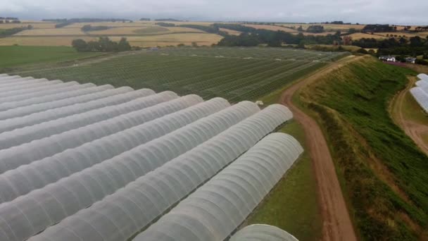 Pohled na dron mezi dvěma skleníkovými polemi.Zemědělství na východě Skotska. — Stock video