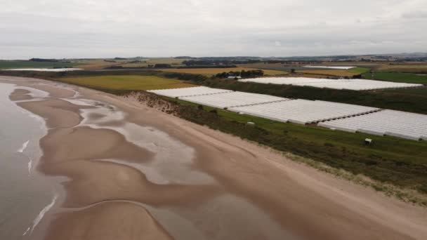 Θέα με drone. Φράουλα αγρόκτημα στη Βόρεια Θάλασσα σε χαμηλή παλίρροια. — Αρχείο Βίντεο