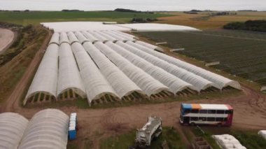 Çilek seralarının uzaktan kumandalı görüntüsü. Uzakta yeşil çayırlar.