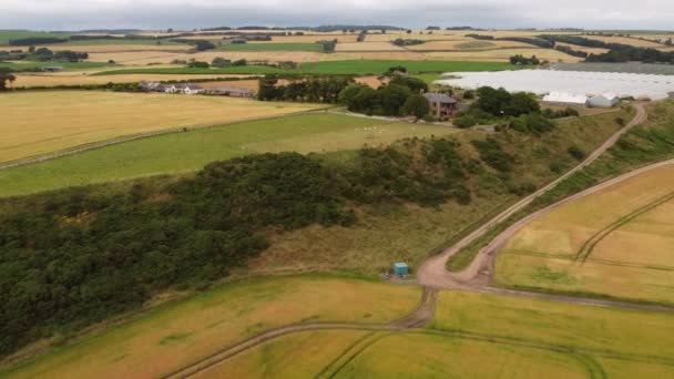Uitzicht vanuit de lucht op een klein dorp omringd door bessenkwekerijen in Oost-Schotland. — Stockvideo