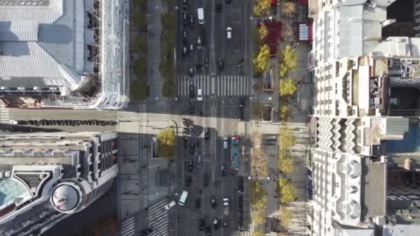 Top uitzicht op een drukke multi-lane straat in het centrum van Parijs. — Stockvideo