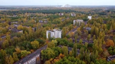 Terk edilmiş bir Pripyat bölgesindeki yetişkin bir ormanın insansız hava aracından ateş etmek..