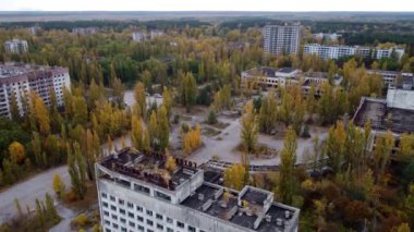 İnsansız hava aracı, eski Kültür Sarayı 'nın kavak ağaçlarıyla ne kadar dolu olduğunu gösteriyor..