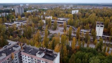 Çernobil Yasaklama Bölgesi 'nde sonbahar kavak ağaçlarının insansız hava aracı görünümü.