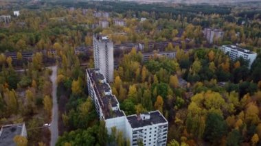 Nükleer santral reaktörünün yakınındaki ağaçlarla kaplı bir mikro bölgenin insansız hava aracı görüntüsü.