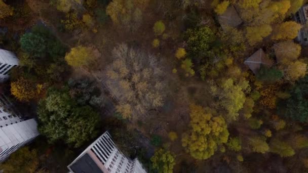 Вид сверху на заросшее пространство между домами Чернобыля с беспилотника. — стоковое видео