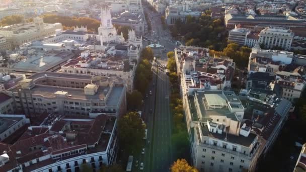 Drone utsikt över Alcala väg och Cibeles fontän i Madrid. — Stockvideo