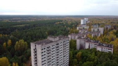 Drone view of old houses overgrown with forest in radioactive Chernobyl.