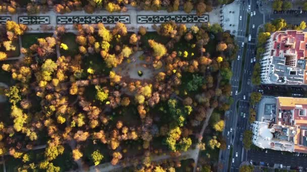 Smidiga flygbilder av El Retiro Park i centrala Madrid. — Stockvideo