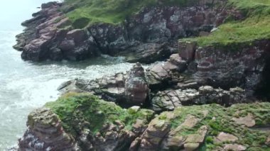 Martılar tarafından seçilen Kuzey Denizi 'ndeki körfezin drone görüntüsü..