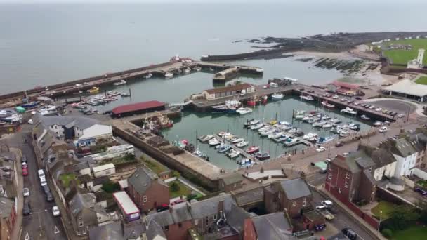 Vista desde el dron del estacionamiento de embarcaciones en el puerto y pequeñas casas alrededor — Vídeo de stock