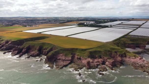 View from a drone on the stone coast of the North Sea with greenhouses. — Stok video