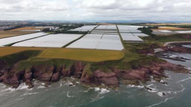 İskoçya 'nın sarp kayalıklarındaki seraların insansız hava aracı görüntüleri..