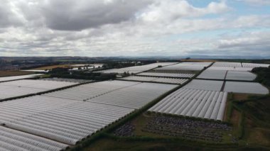 Doğu İskoçya 'daki sonsuz böğürtlen seralarının insansız hava aracı görüntüsü