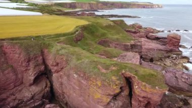 Deniz kenarındaki yeşil kayaların üzerinde bir adam olan robot görüntüsü.