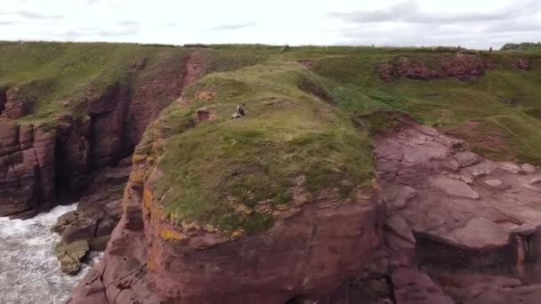 View from a drone on a rock on the seashore with a guy in shaushniks. — Stock video