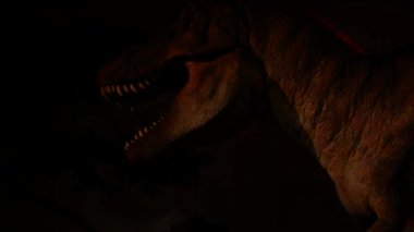 Ekranda bir Tyrannosaurus Rex 'in yakın plan profili var. Aydınlatma sorunsuzca parıldıyor, namlu karanlığa dalıyor..