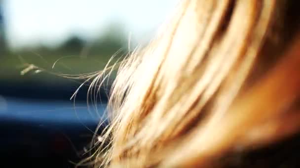 Schuss Von Hinten Auf Ein Mädchen Das Einem Auto Fährt — Stockvideo