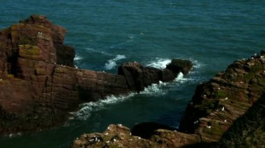 Kuzey Denizi 'nin berrak sularıyla yıkanan keskin kayaların görüntüsü. Yüksek bir bankadan, sakin bir mayıs ayında Doğu İskoçya 'da vuruldu..