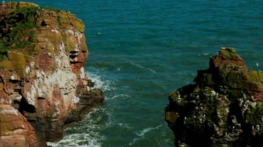 Uçan kuşlarla dolu dik bir uçurumdan Kuzey Denizi 'nin güzel manzarası. Baharın sonlarında Doğu İskoçya 'dan vahşi doğanın çekimleri.