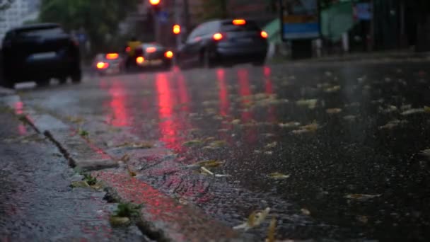 Shooting Traffic Jams Rain Blurry Backgrounds Fallen Leaves Litter Road — Stockvideo