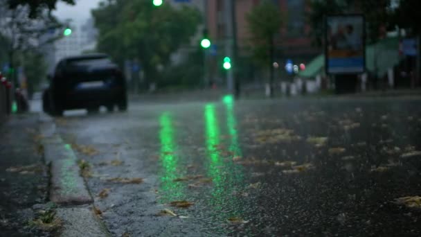 Shooting Wet Road Fallen Leaves Rain Crossroads Blurry Green Light — Vídeo de stock