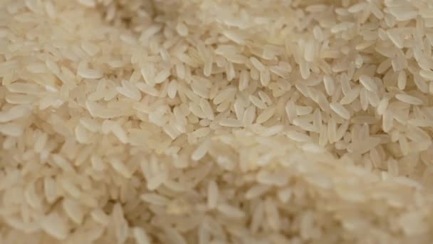 Close Shot Grains Rice Motion Texture Photography Cereals — Vídeo de Stock