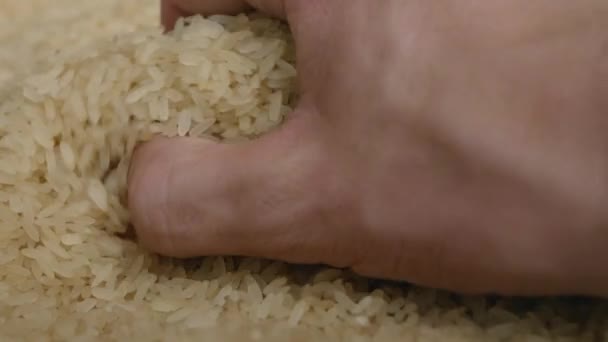 Shot Hand Taking Rice Scattering Loose Rice Texture — Vídeo de Stock