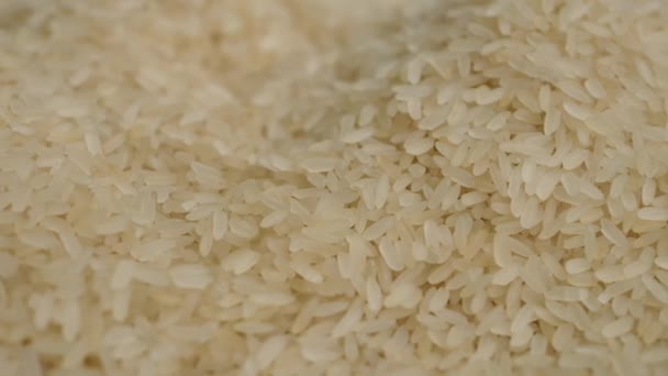 Shooting Texture Grains Rice Rice Grains Translucent White — Video Stock