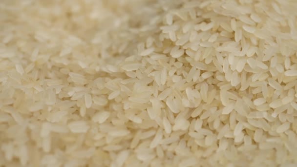 Smooth Wiring Texture Cream Colored Long Grain Rice Frame Classic — Vídeo de Stock