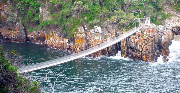 Závěsný Most Vybavené Turistické Ekologické Stezce Národním Parku Pobřežní Deštné — Stock fotografie