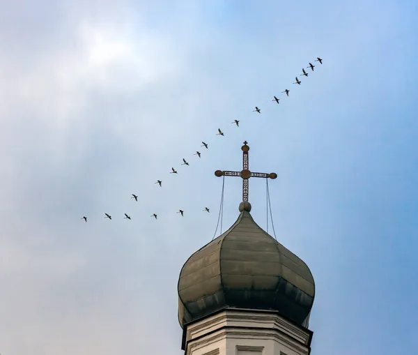 Hejno Labutí Nad Kupolí Křížem Pravoslavné Církve Podzimní Obloze Velké — Stock fotografie