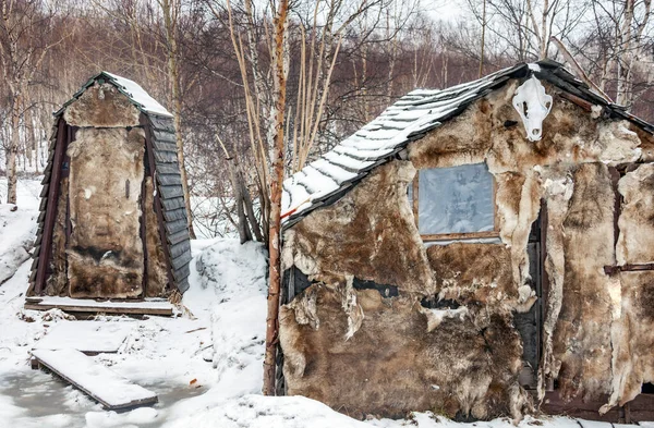 北部村庄的室外厕所和外屋用驯鹿皮隔热 熊头盖骨和驯鹿皮通常是北方人民居住地风格的正宗外宾 堪察加半岛 — 图库照片