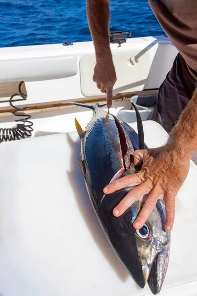 View Fisherman Hands Knife Cutting Yellowfin Tuna Board Yacht Sea — Stock Photo, Image